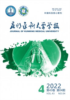 昆明医科大学学报